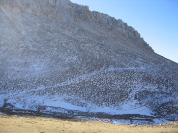 Vessant nord de la Serra Pedregosa