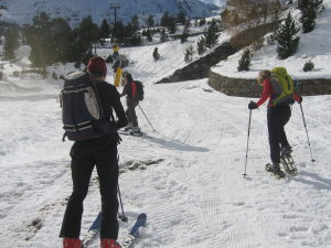 Ens calcem els esquís