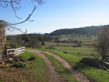 Casa Vila, i al fons Cal Rial