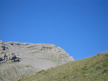 Vol d'un trencalòs