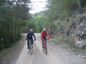 Últim tram abans d'arribar a Falgars