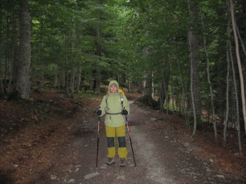 La Sílvia en el moment de sortir, enmig d'un bosc humit i espès