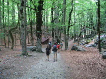 Fageda