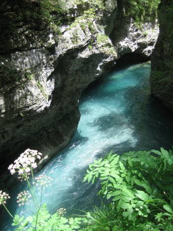 Aigua del riu Bellós