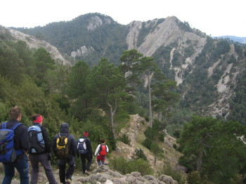 Baixant després d'un dels diversos colls de la ruta