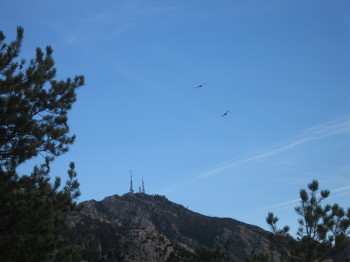 El Mont Caro d'esquena, amb voltors davant