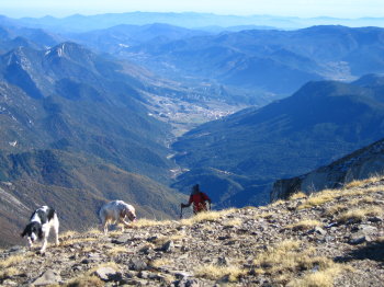 Arribant al Tancalaporta