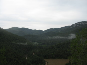 Zona boscosa a la sortida d'Albanyà