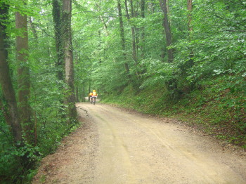 Pista abans d'arribar a Camprodon