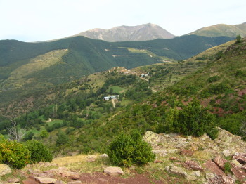 Coll de l'Oli