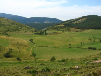 Prat prop del Coll de Sant Pere