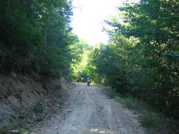 Pista i arbres al voltant