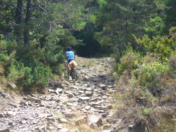 Carretera sortint des de Sabiñánigo