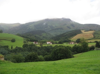 Contrast de verds dels boscos i pastures navarresos