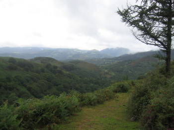 Camí en descens