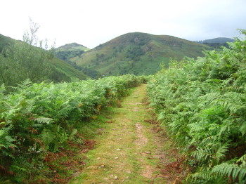 Pista al final del descens