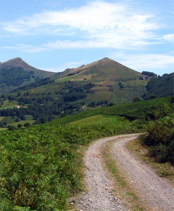 Pista a la zona de Navarra