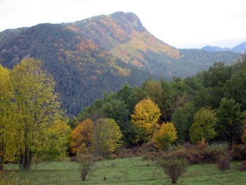 Paisatge de tardor al Catllaras