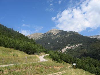 Coll de la Bena, amb el Puigterrers i el Comabona al fons