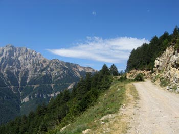 Pujant cap a Coll de Torn ens acompanya la visió de la cara nord del Pedraforca